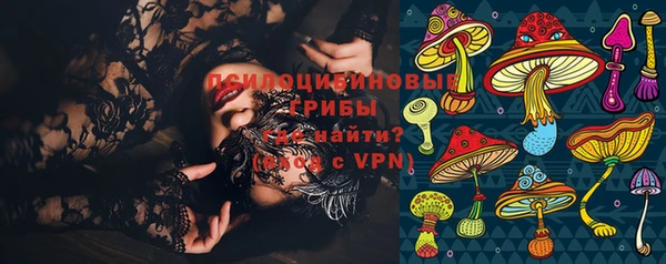 ГАЛЛЮЦИНОГЕННЫЕ ГРИБЫ Абаза