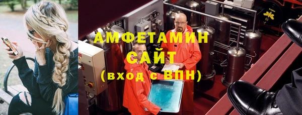 прущие грибы Кулебаки