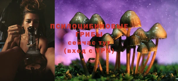 мдпв Куйбышев