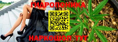 спиды Малгобек