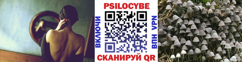 Галлюциногенные грибы Magic Shrooms  Шумерля 