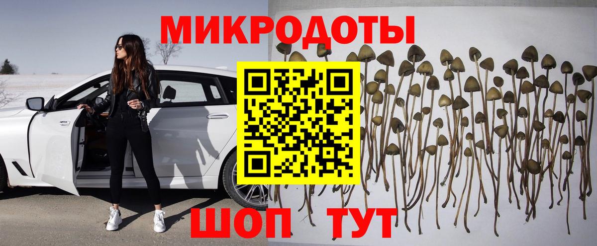 Псилоцибиновые грибы Psilocybe Шумерля